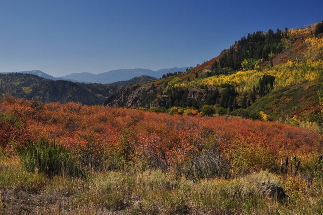 Along Highway 92 north toward Crawford